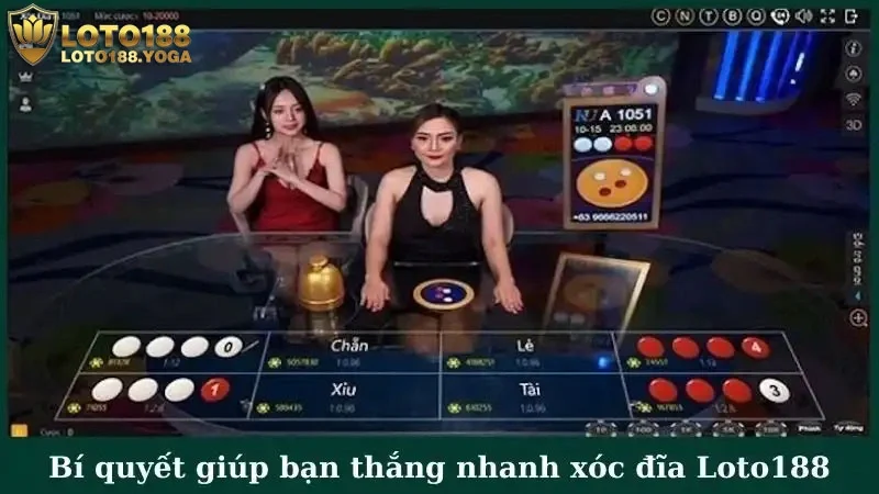 Bí quyết giúp bạn thắng nhanh xóc đĩa Loto188