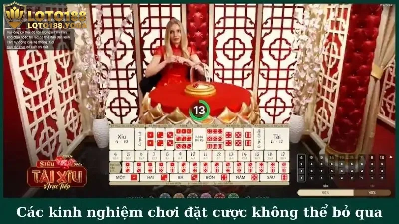 Các kinh nghiệm chơi đặt cược không thể bỏ qua