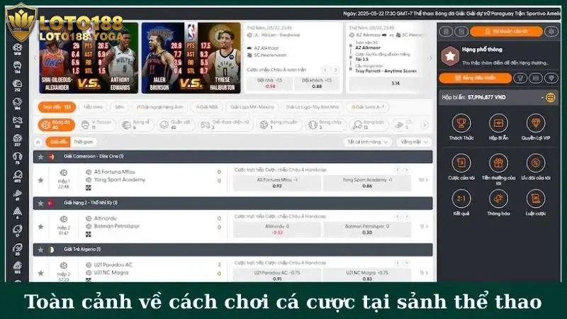 Toàn cảnh về cách chơi cá cược tại sảnh thể thao nhà cái
